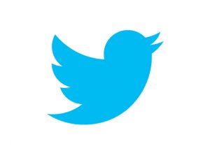 twitter_logo_principal