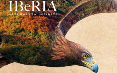 El 17 de marzo se estrena en cines la película  “Iberia, naturaleza infinita”, dirigida por Arturo Menor, el cineasta de naturaleza más premiado en España