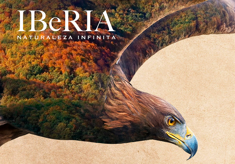 El 17 de marzo se estrena en cines la película  “Iberia, naturaleza infinita”, dirigida por Arturo Menor, el cineasta de naturaleza más premiado en España